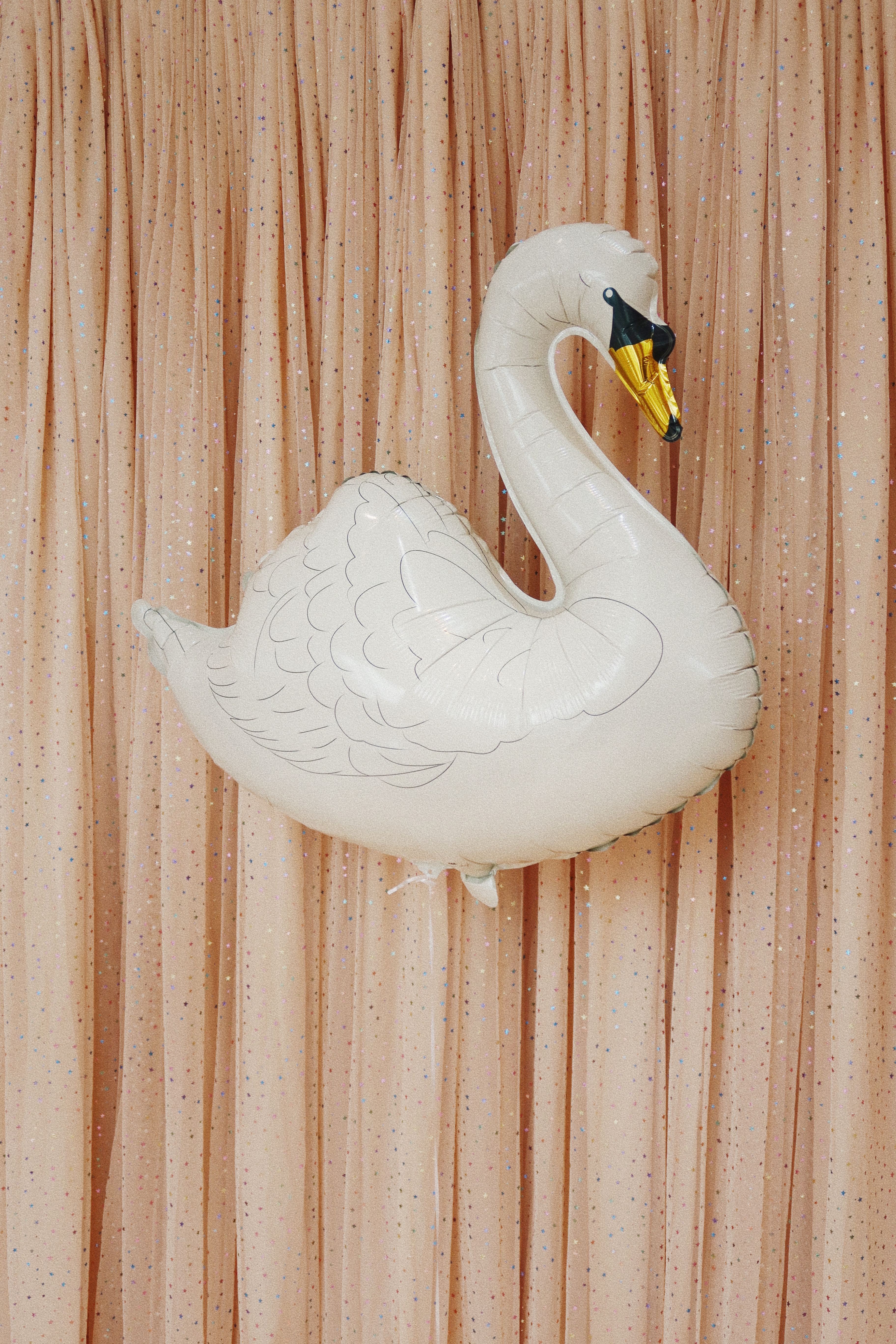 Konges slojd Ballon, Schwan